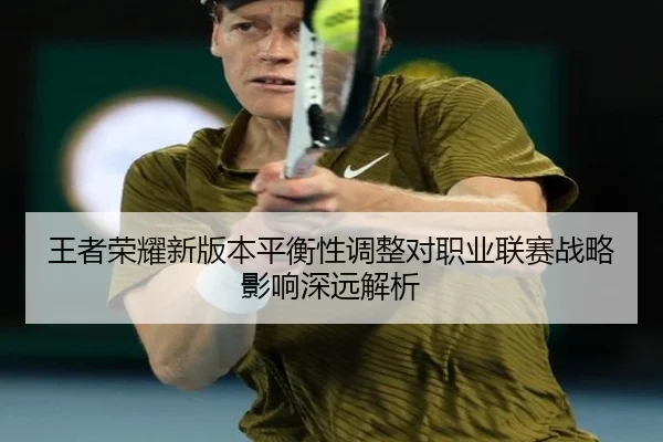 王者荣耀新版本平衡性调整对职业联赛战略影响深远解析