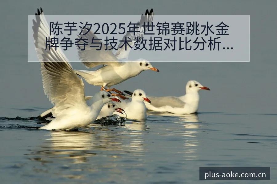 陈芋汐2025年世锦赛跳水金牌争夺与技术数据对比分析 - 澳客
