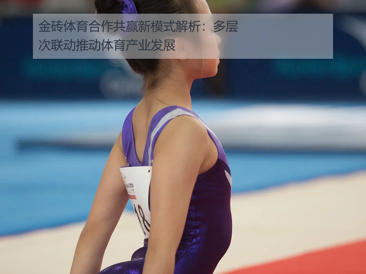 金砖体育合作共赢新模式解析:多层次联动推动体育产业发展